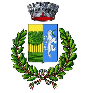 Comune di Faedis